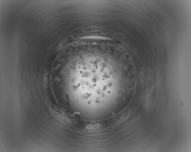 X0000054390271200508121640