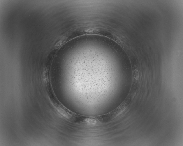 X0000054390272200508121640