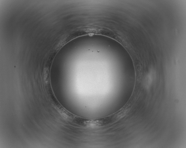 X0000054390273200508121640