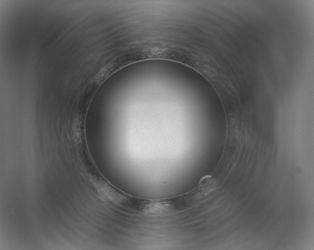 X0000054390274200508121640