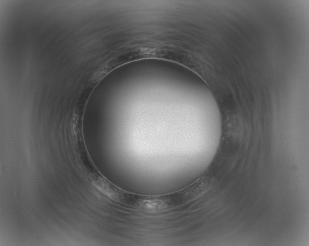 X0000054390275200508121641