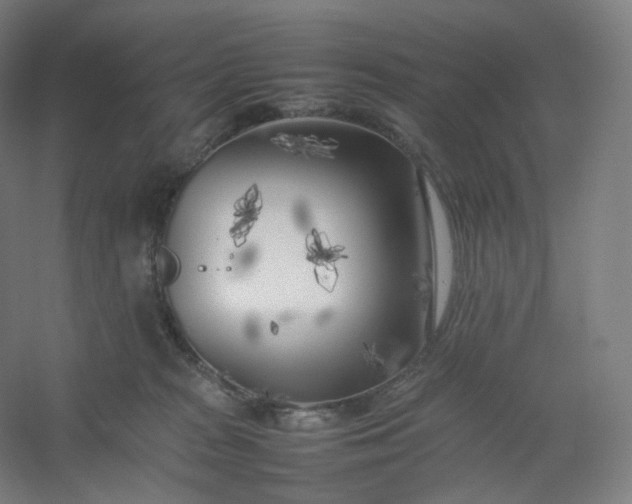 X0000054390277200508121641