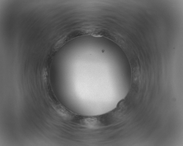 X0000054390279200508121641