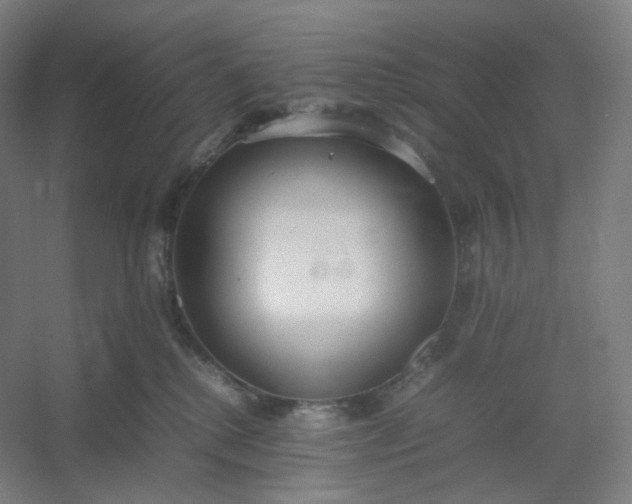 X0000054390280200508121641