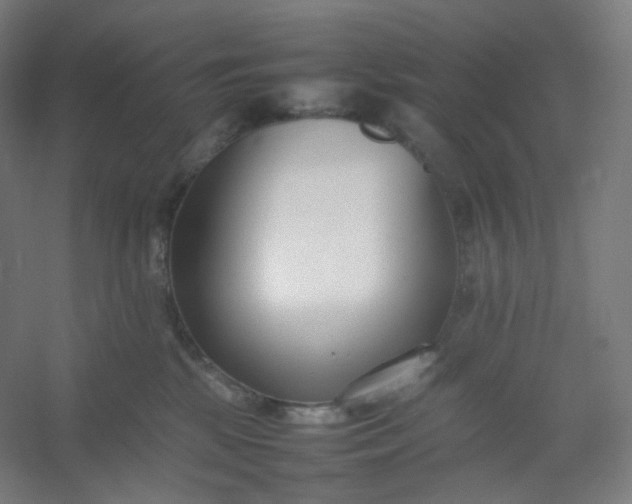 X0000054390281200508121641