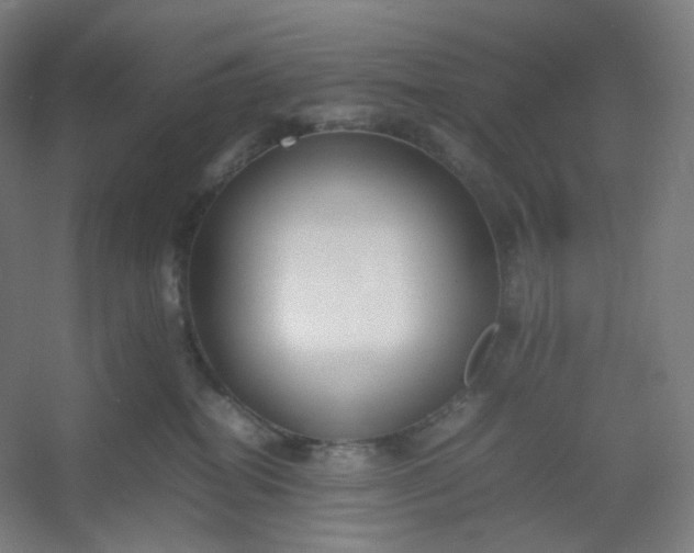 X0000054390282200508121641