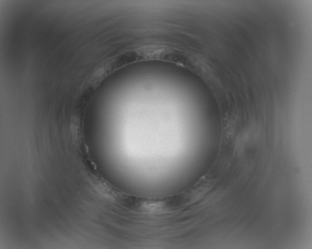 X0000054390283200508121641