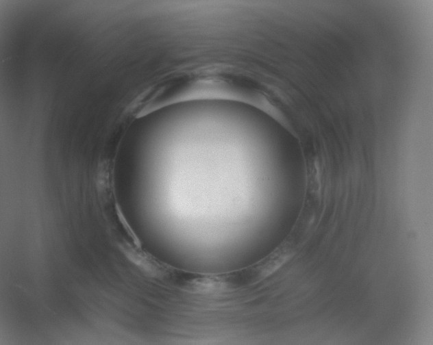 X0000054390284200508121641