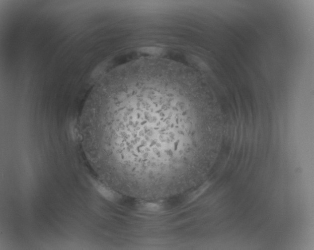 X0000054390285200508121641