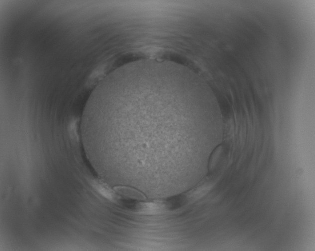 X0000054390286200508121641