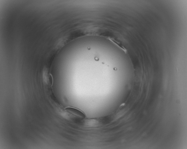 X0000054390287200508121641