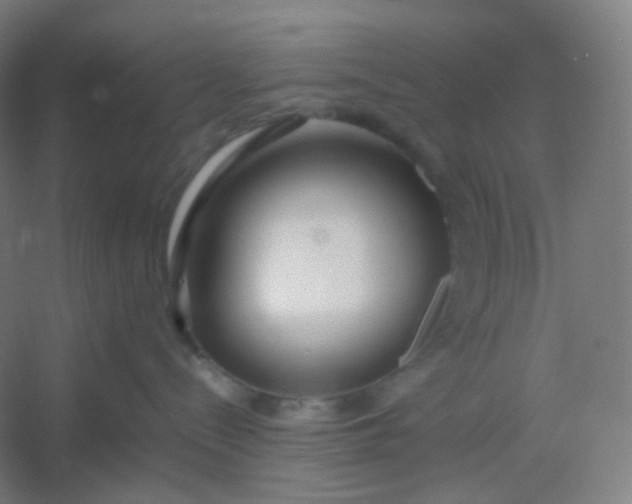 X0000054390288200508121641