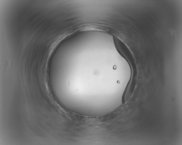 X0000054390289200508121640