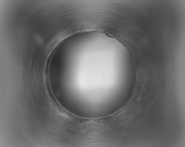 X0000054390290200508121640