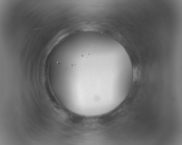 X0000054390291200508121640