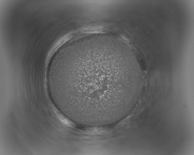 X0000054390293200508121640