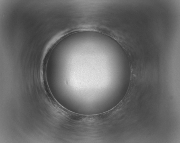 X0000054390294200508121640