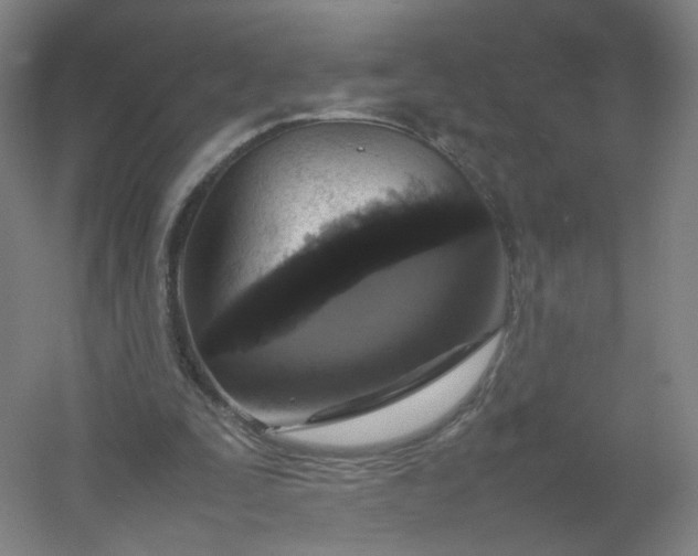 X0000054390295200508121640