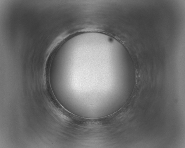 X0000054390296200508121640