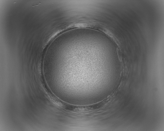 X0000054390297200508121640