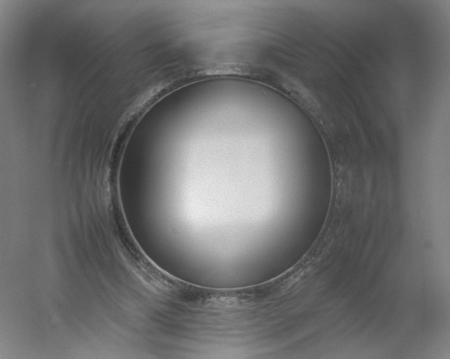 X0000054390298200508121640