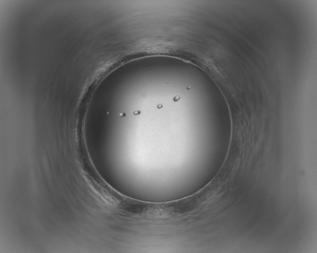 X0000054390299200508121640