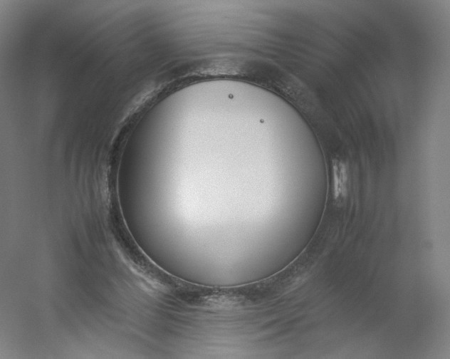 X0000054390300200508121640