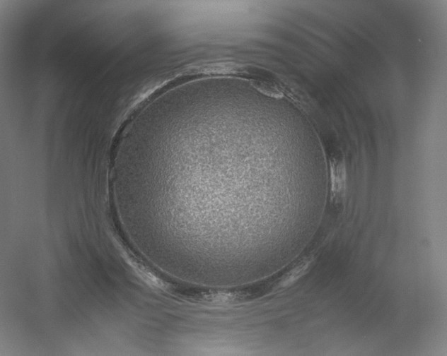 X0000054390301200508121640