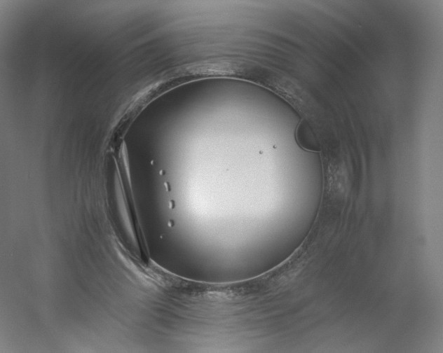 X0000054390302200508121640