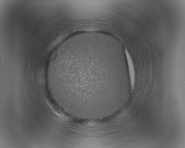 X0000054390303200508121640