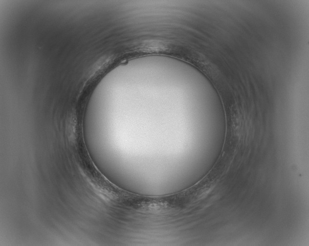 X0000054390304200508121640