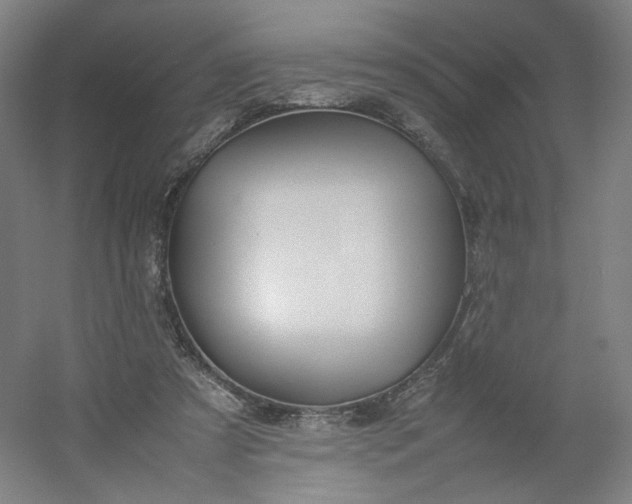 X0000054390305200508121640