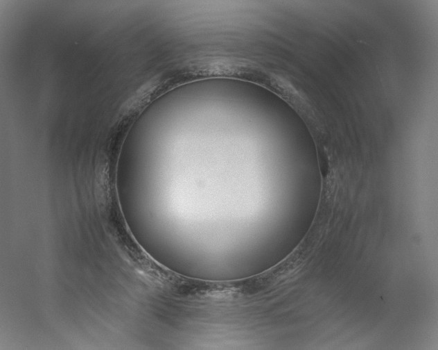 X0000054390306200508121640