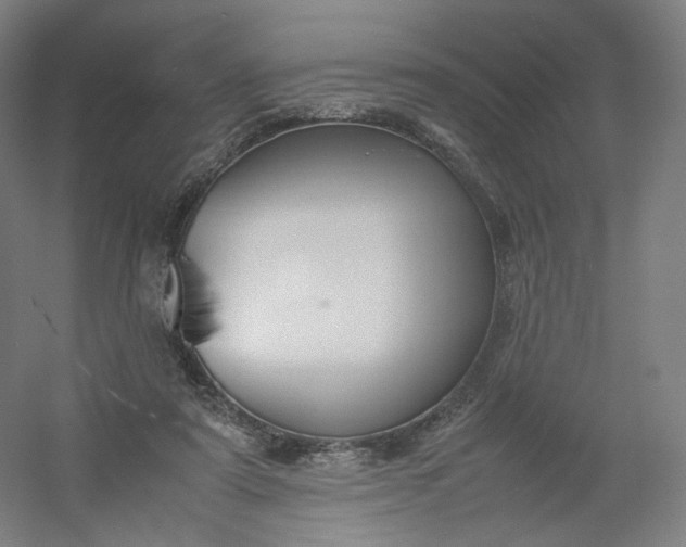 X0000054390307200508121640