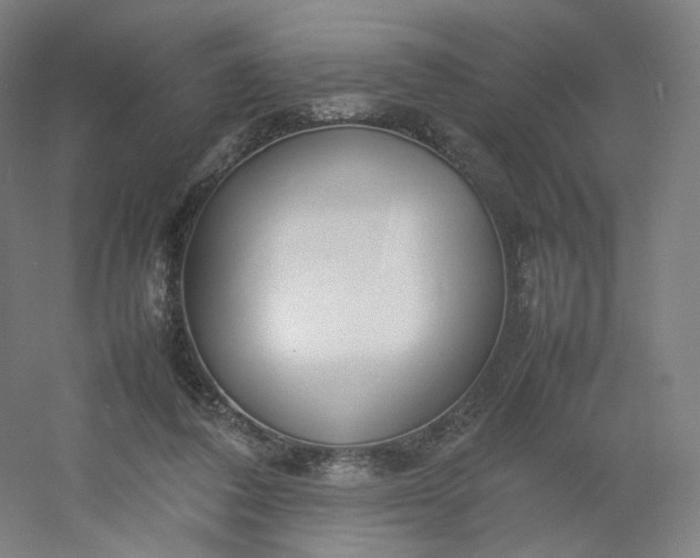 X0000054390308200508121640