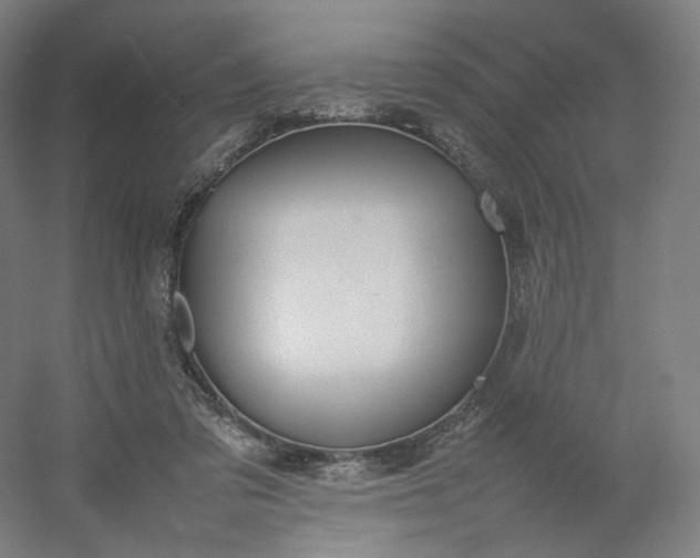 X0000054390309200508121640