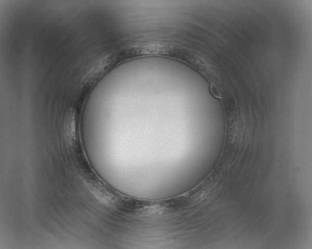 X0000054390310200508121640