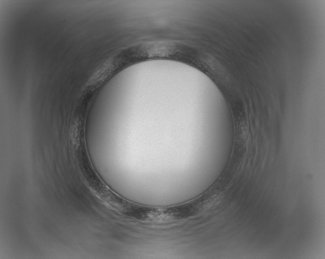 X0000054390311200508121640