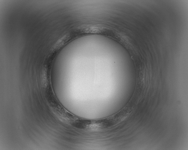 X0000054390312200508121640