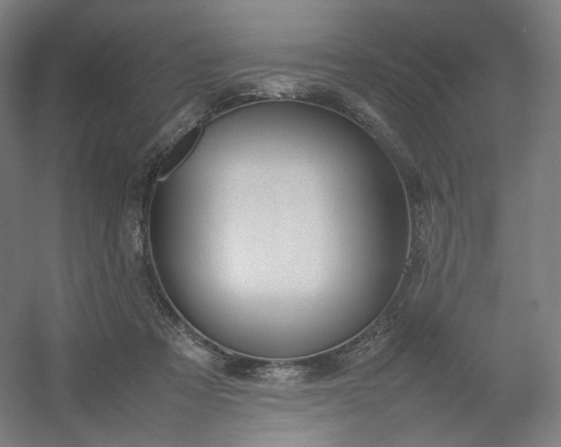 X0000054390313200508121640