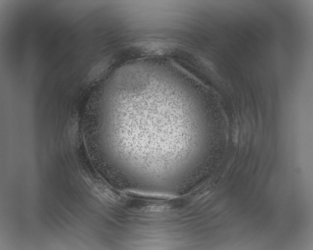 X0000054390314200508121639