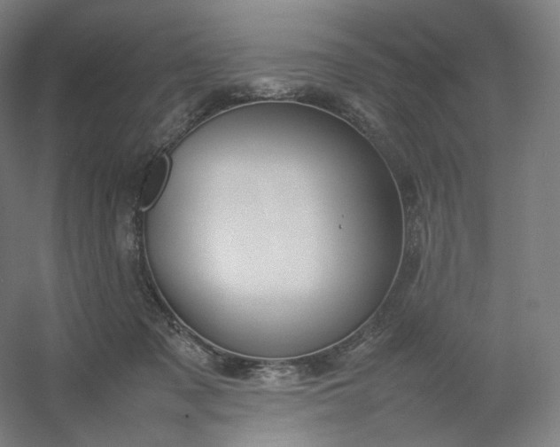 X0000054390317200508121639