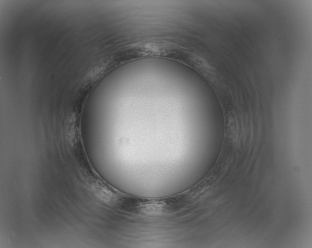 X0000054390318200508121639