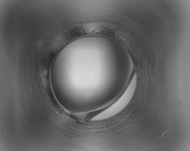 X0000054390319200508121639