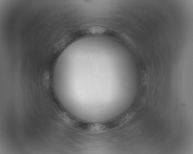 X0000054390321200508121639