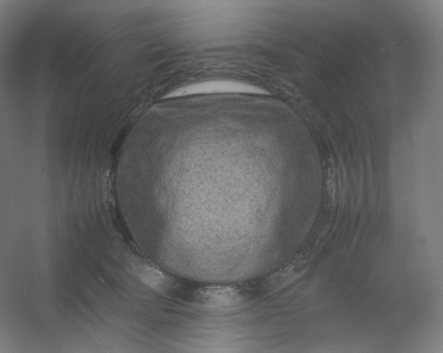 X0000054390322200508121639