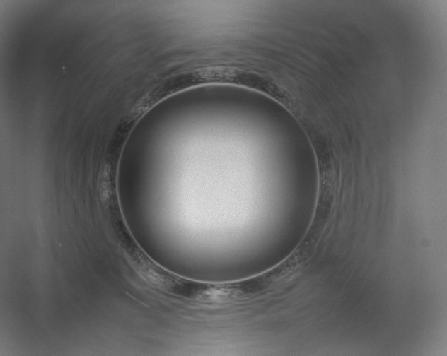 X0000054390323200508121639