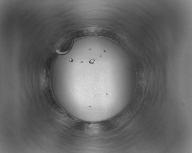 X0000054390324200508121639