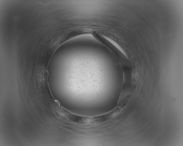 X0000054390325200508121639