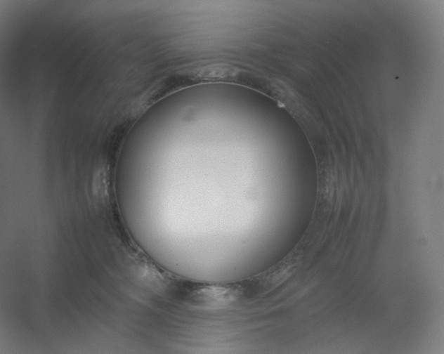 X0000054390326200508121639